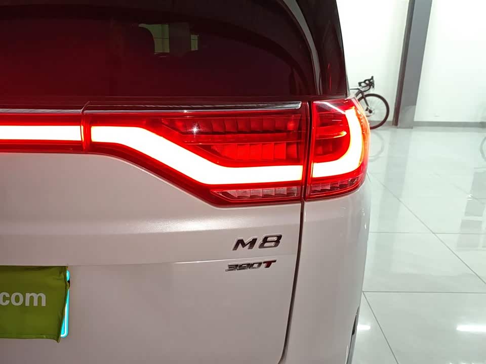 Trumpchi Trumpchi M8