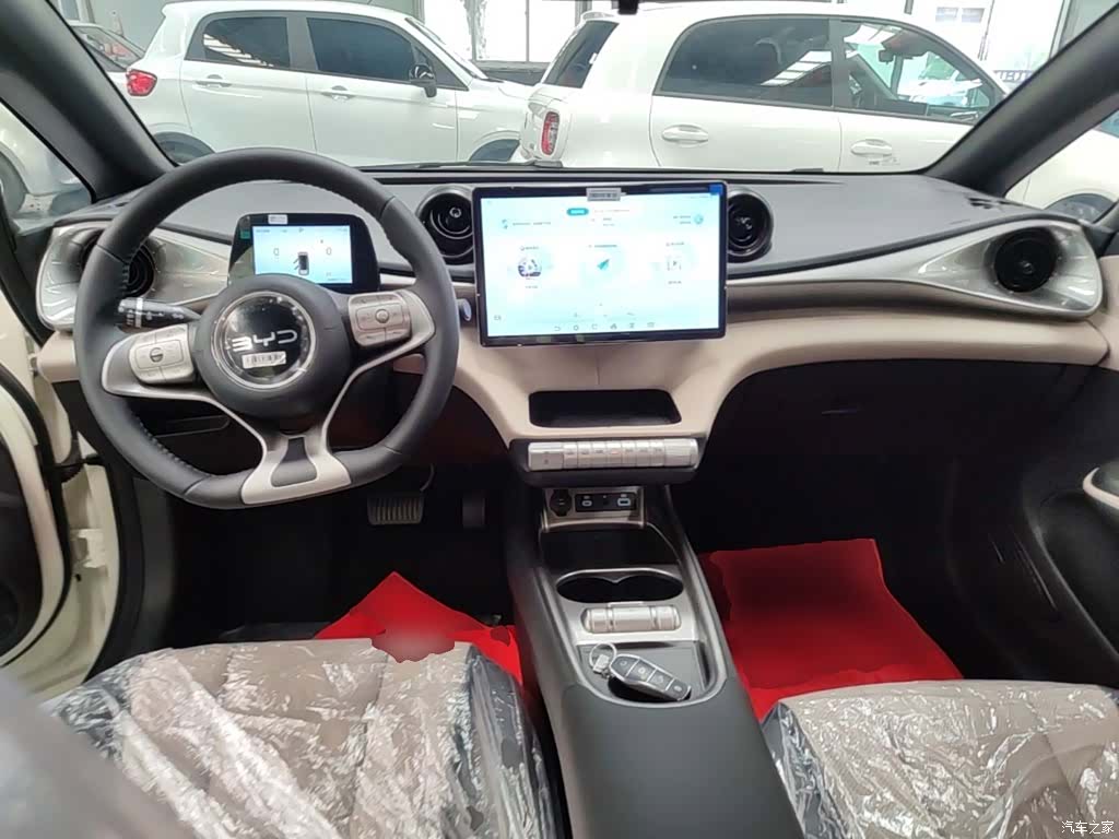 BYD Dolphin, 2026 10