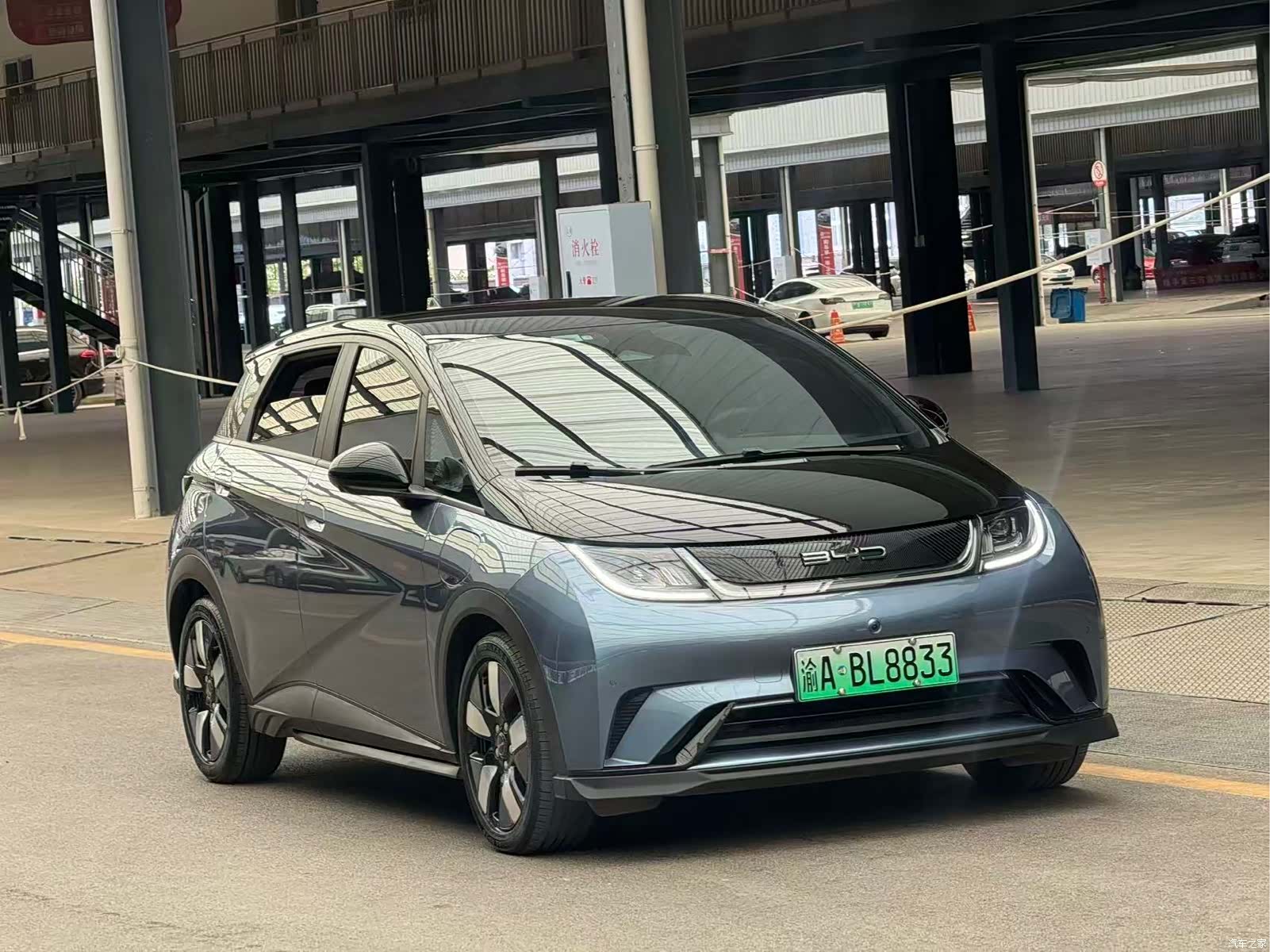 BYD Dolphin, 2023 3