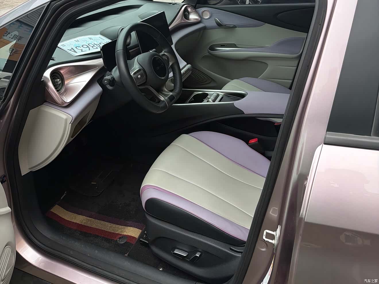 BYD Dolphin, 2022 4