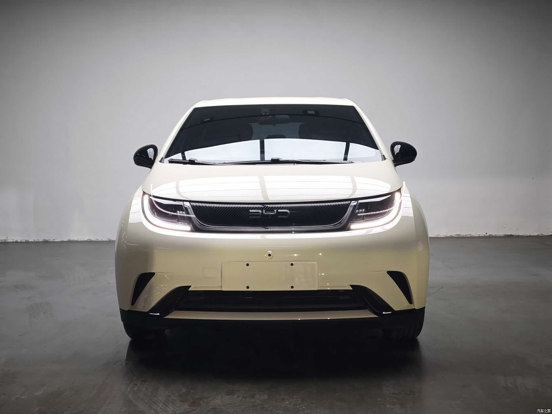 BYD Dolphin, 2025 2