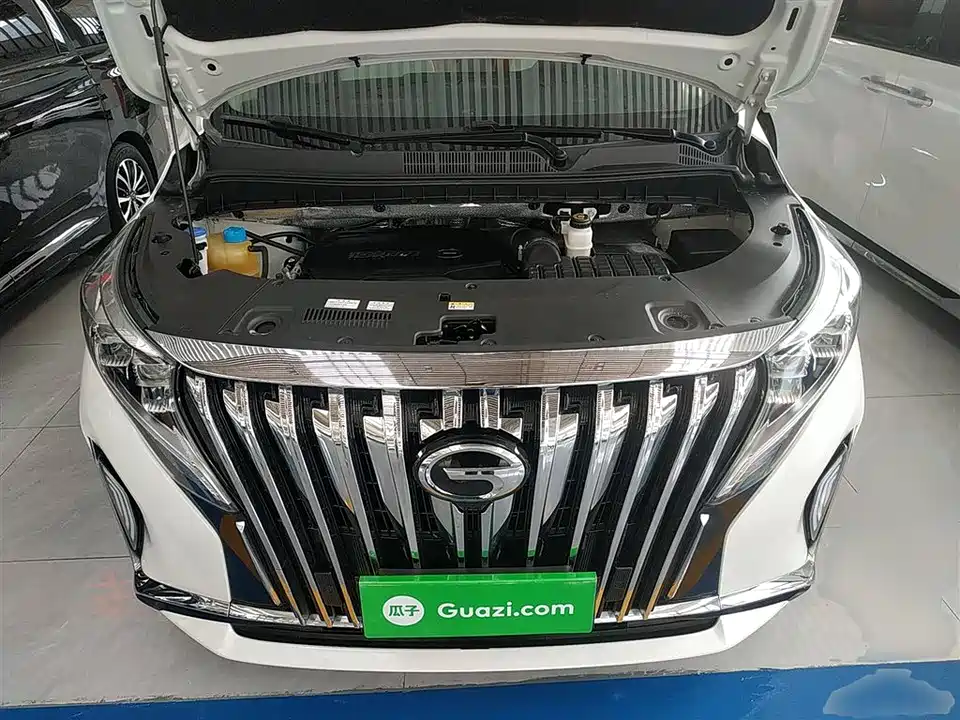 Trumpchi Trumpchi M8