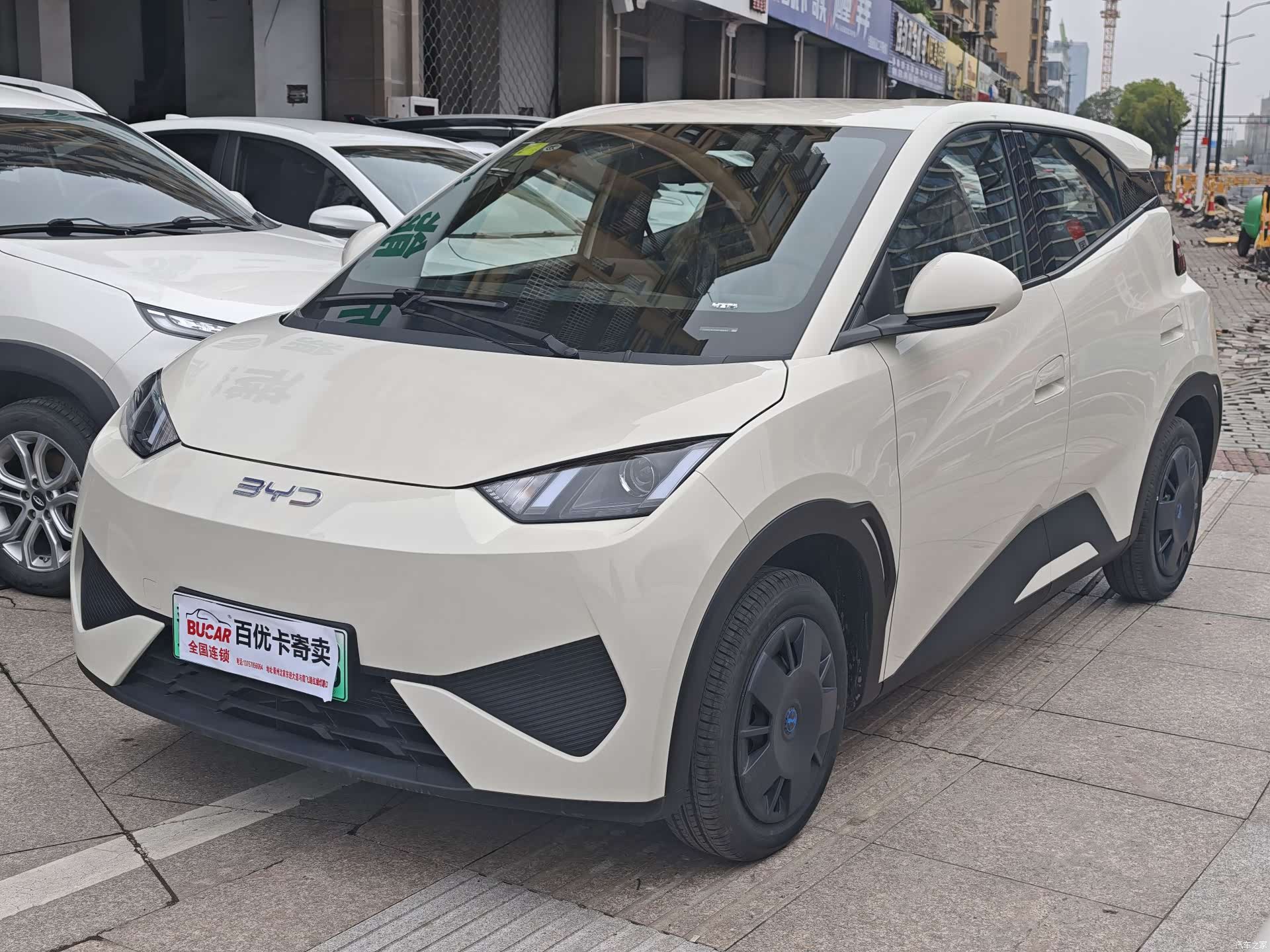 BYD Seagull, 2026 1