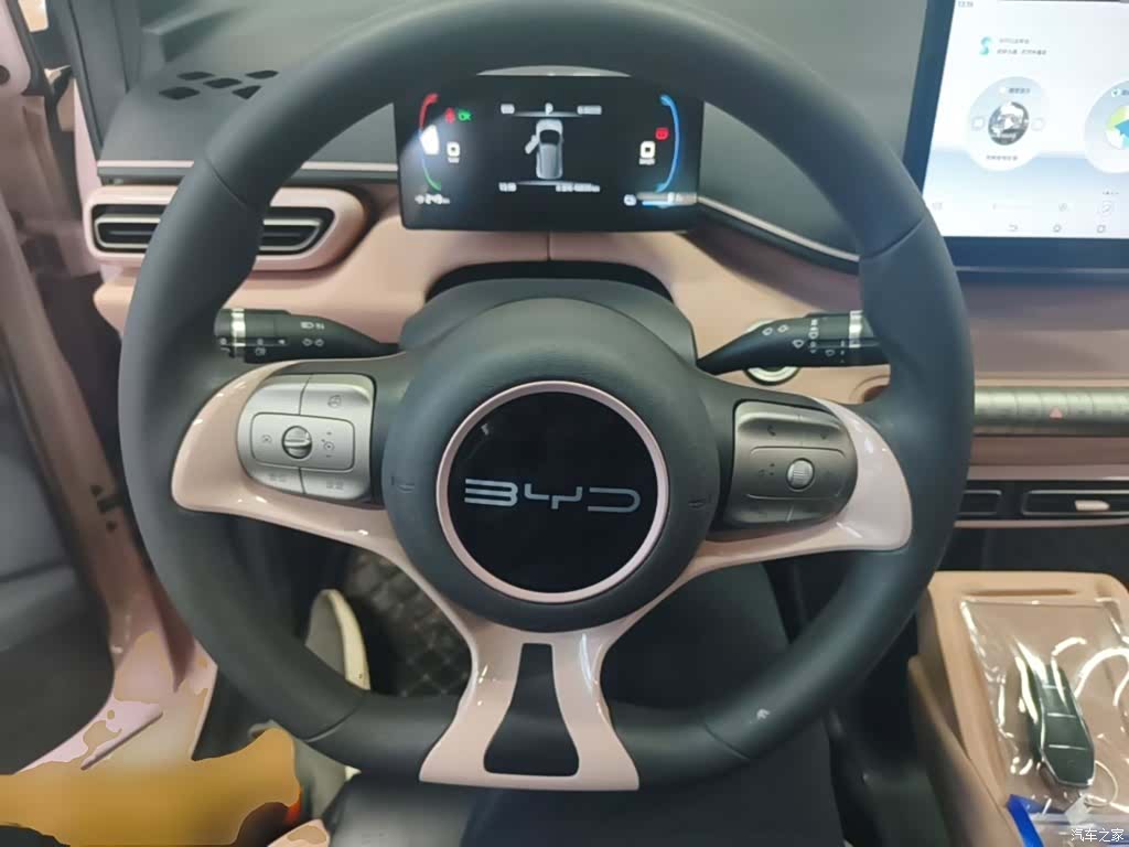 BYD Seagull, 2024 11