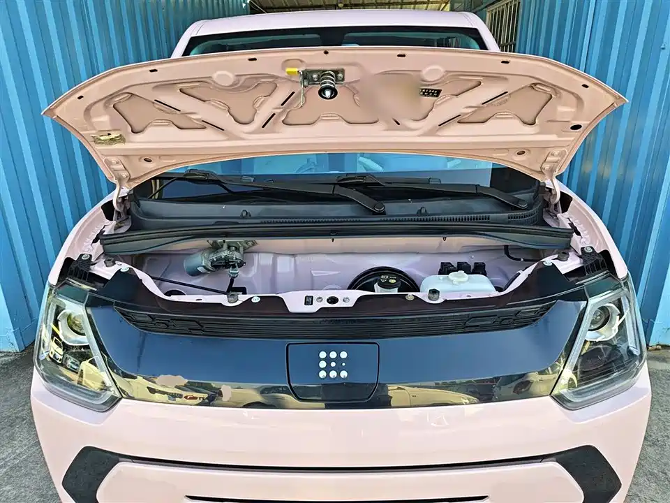 Fengon Scenery MINIEV