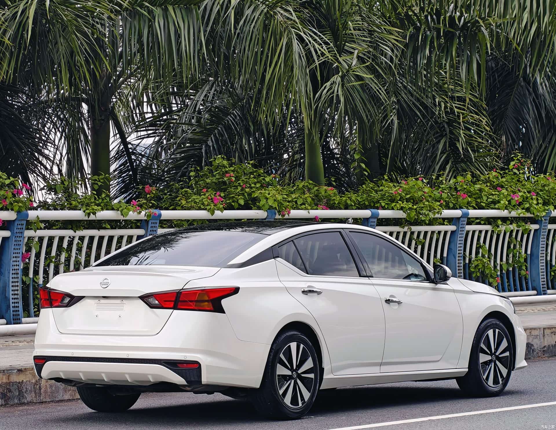 Nissan Teana, 2020 все фото