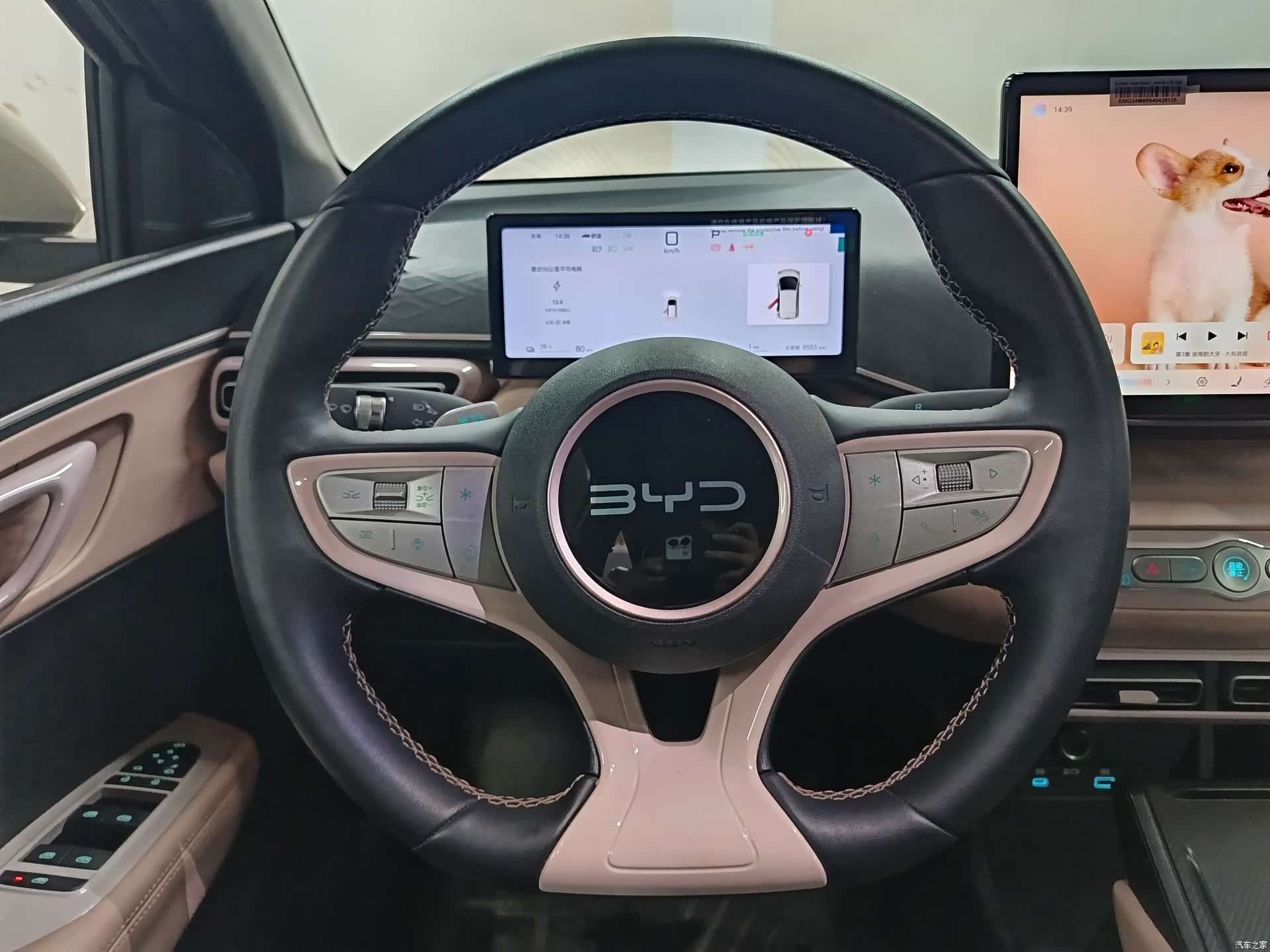 BYD Seagull, 2025 8