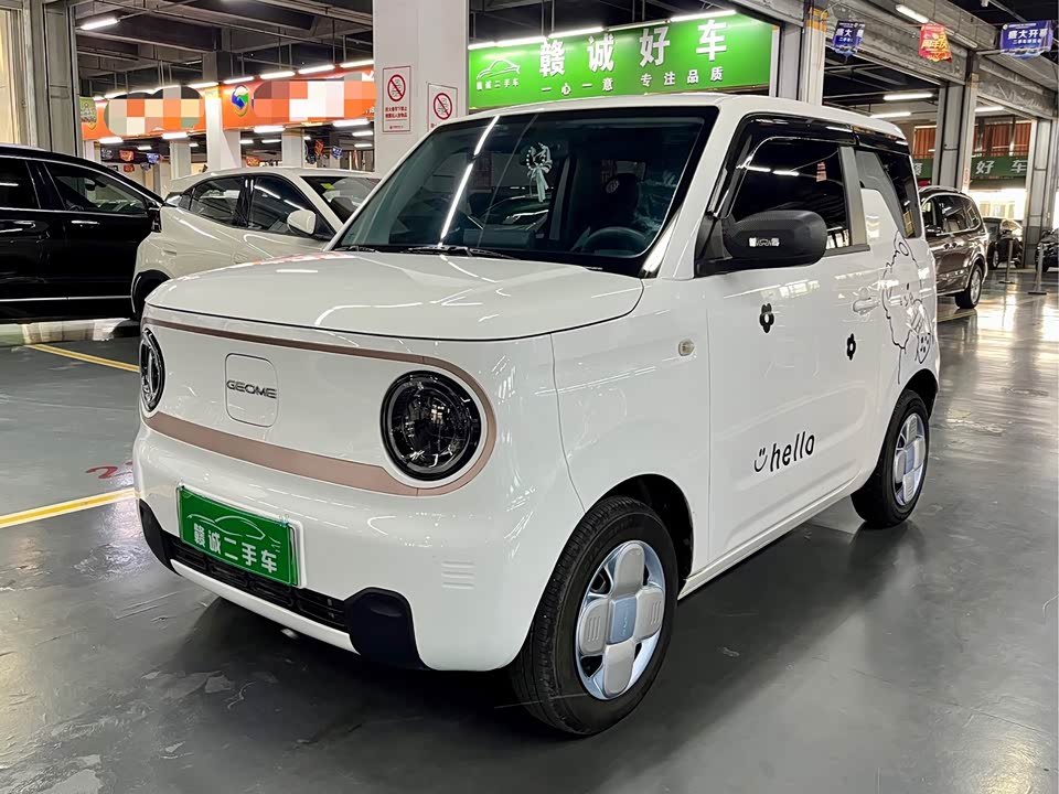 Geely Galaxy panda
