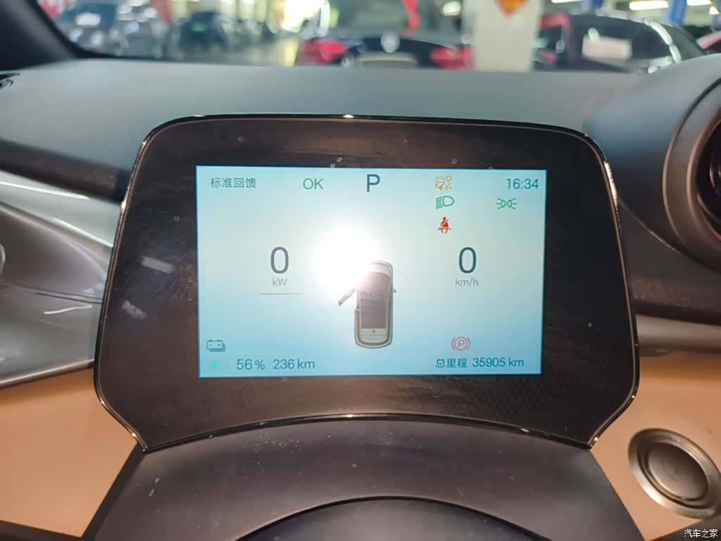 BYD Dolphin, 2024 12
