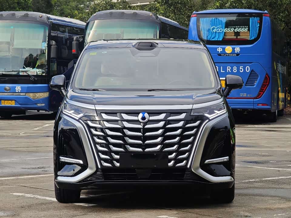 Denza D9