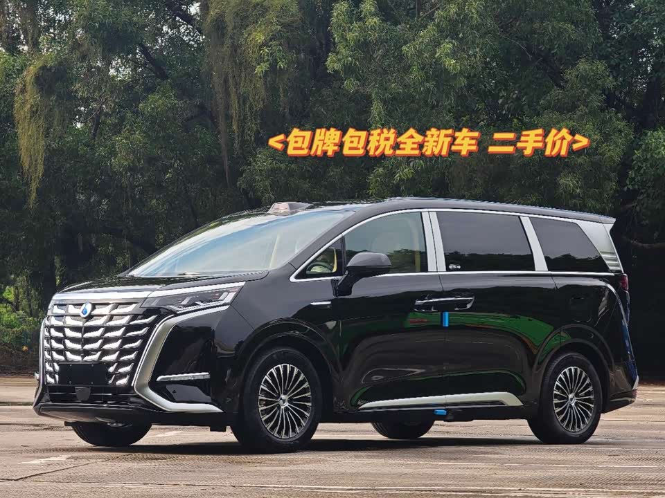 Denza D9