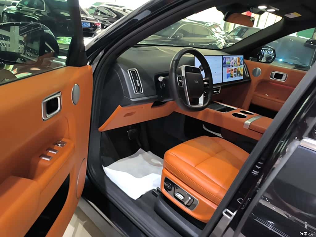 Li Auto L9, 2022 16