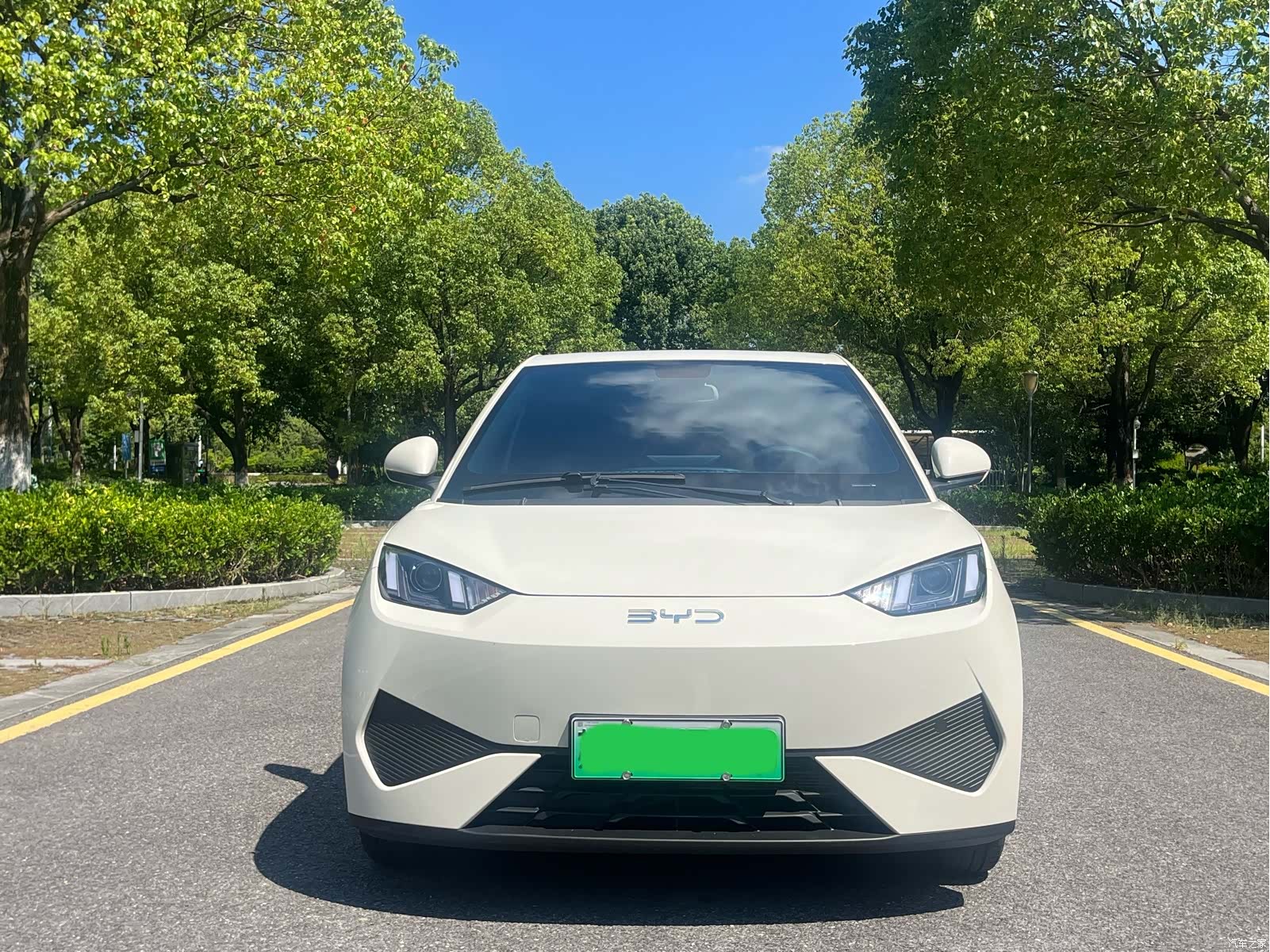 BYD Seagull, 2025 2