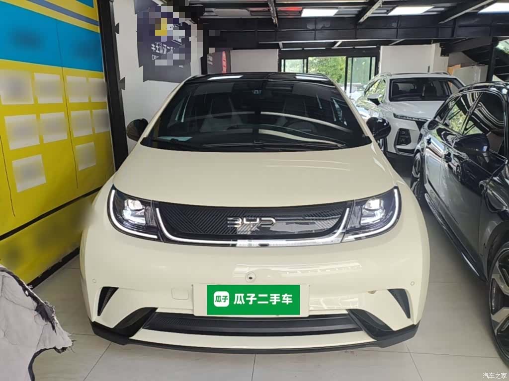 BYD Dolphin, 2024 3
