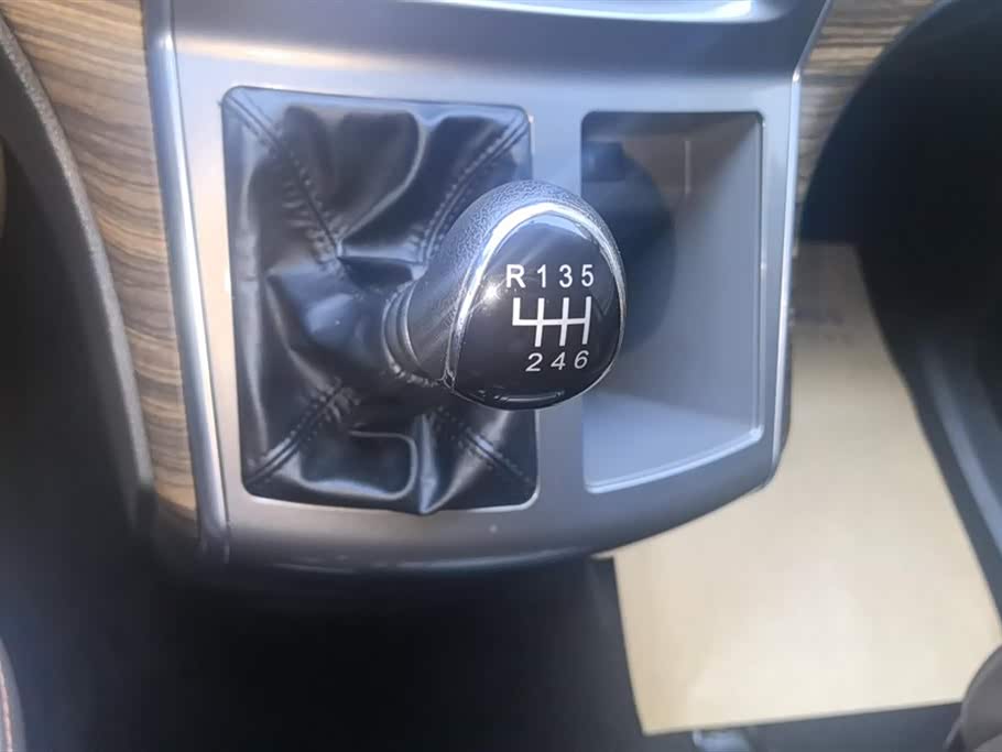 Forthing Lingzhi PLUS