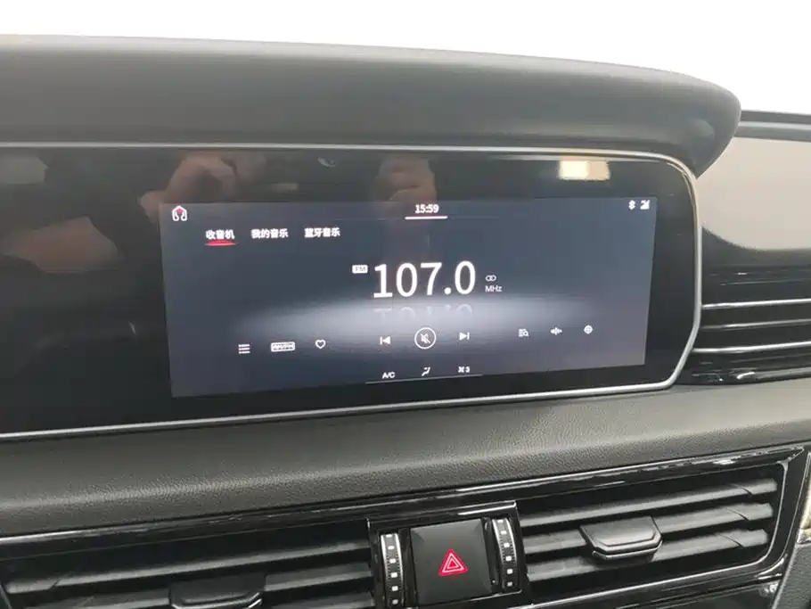 Hongqi HS5