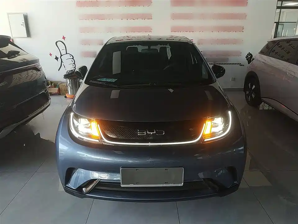 BYD dolphin