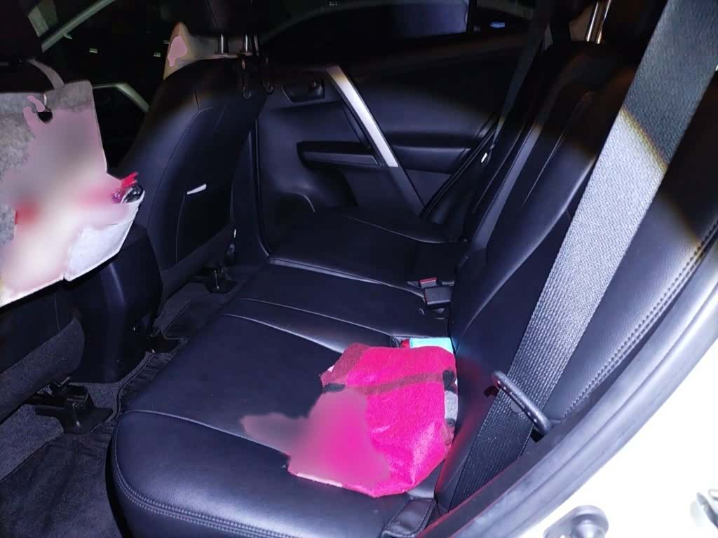 Toyota RAV4, 2018 15