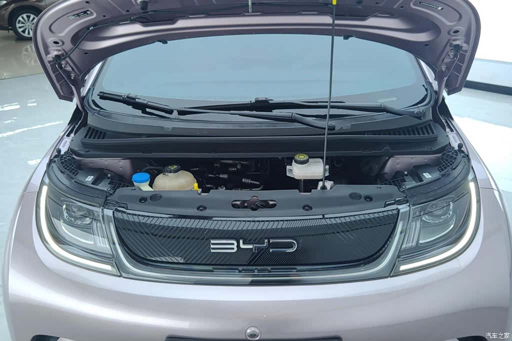 BYD Dolphin, 2023 10