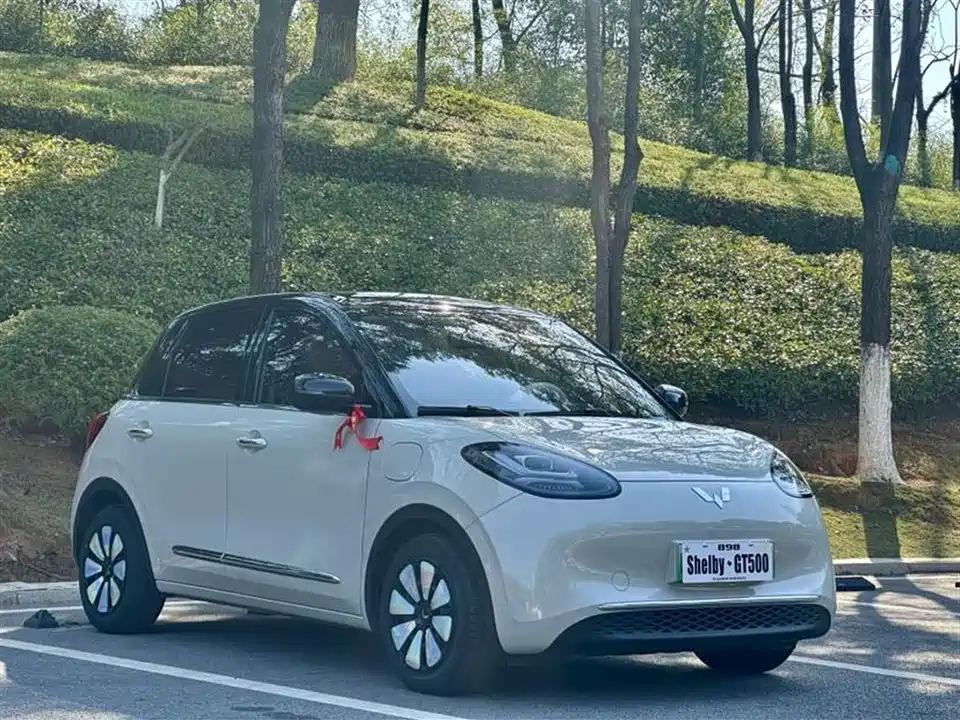 Wuling Wuling Bingguo