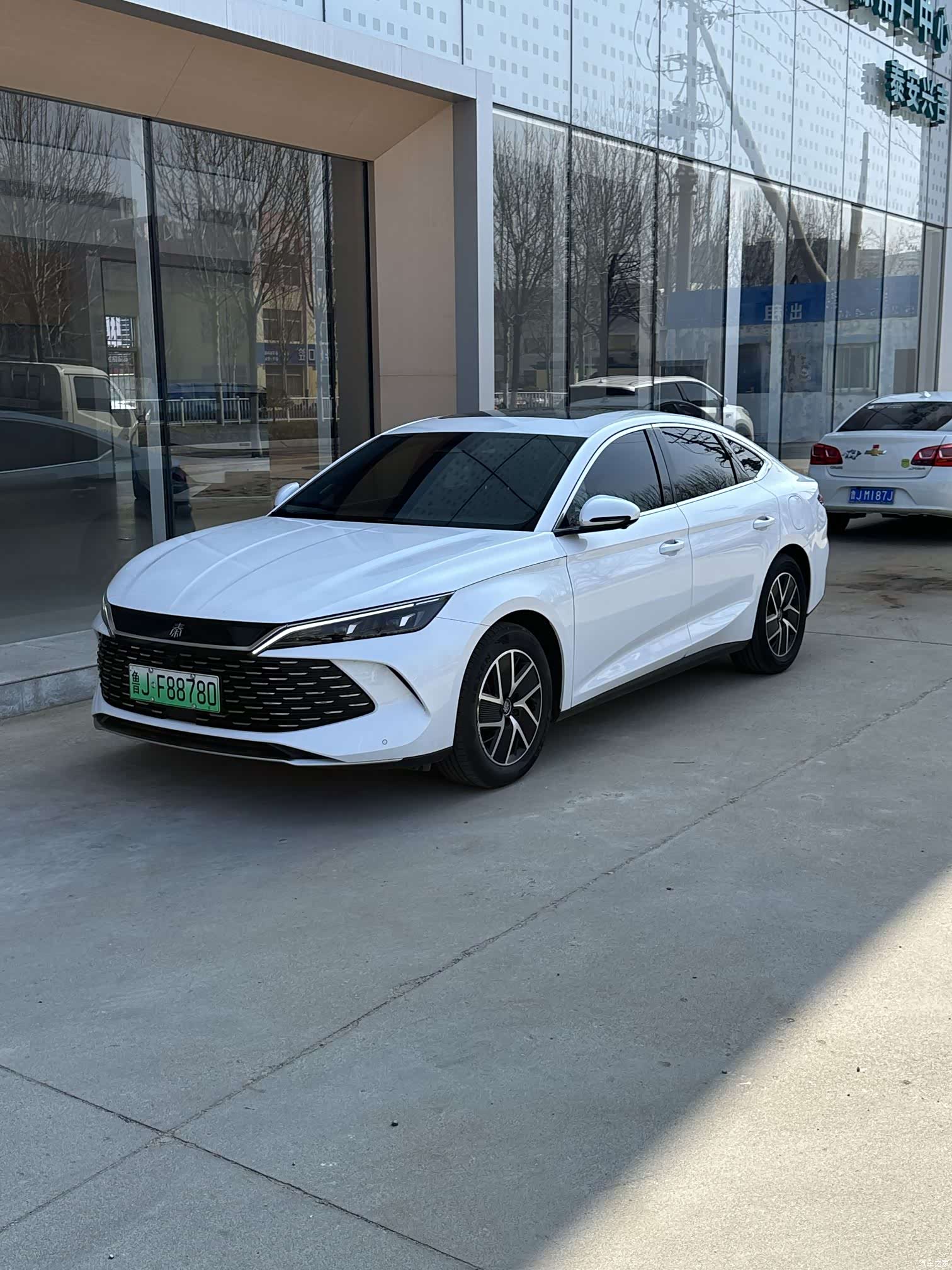 BYD Qin, 2024 1