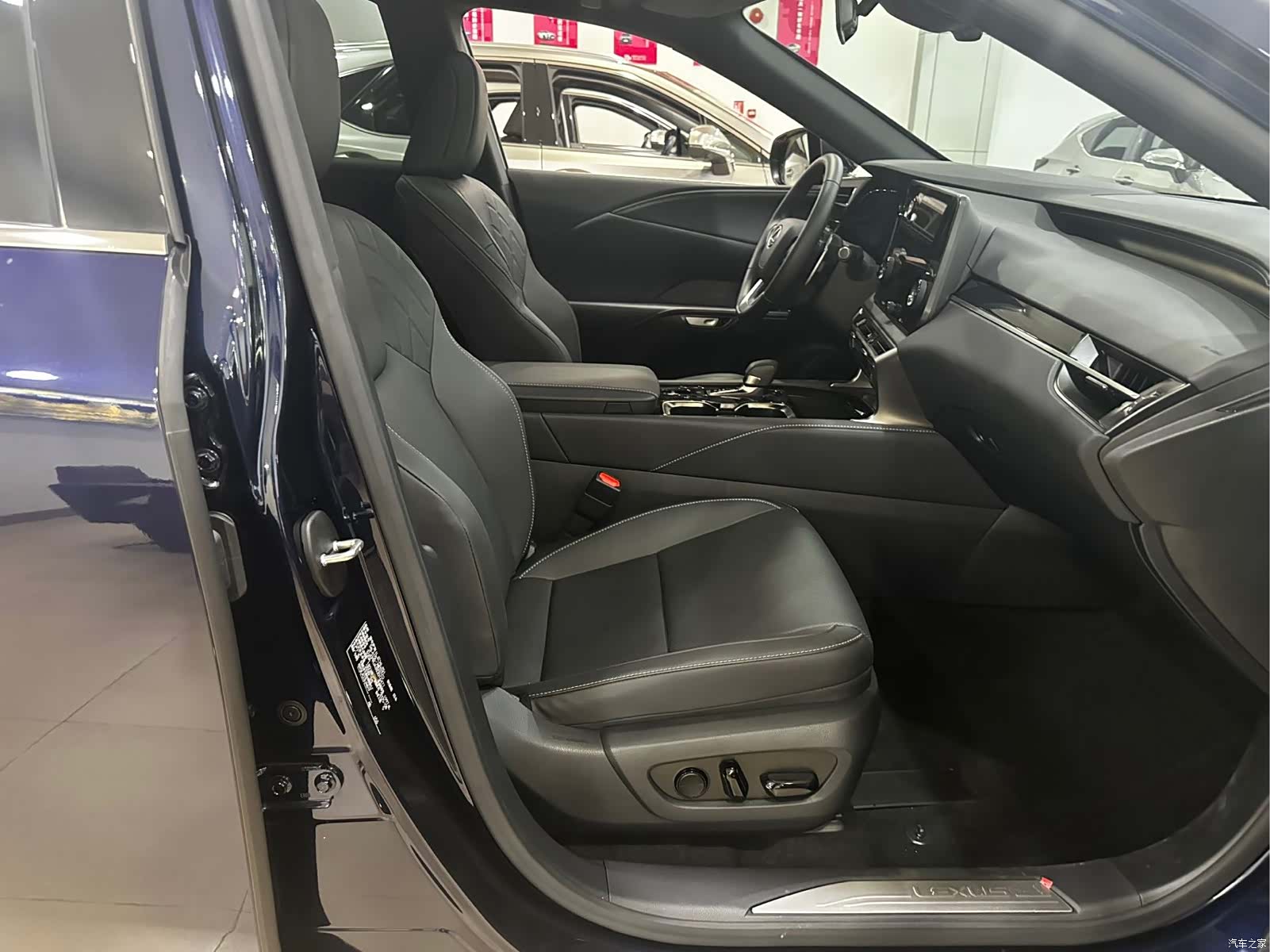 Lexus RX, 2025 11