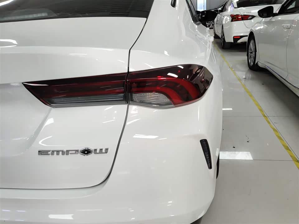 Trumpchi Shadow Leopard