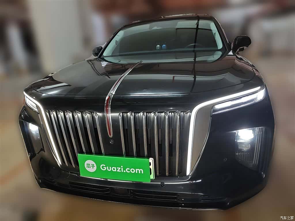 Hongqi E-HS9, 2022 24