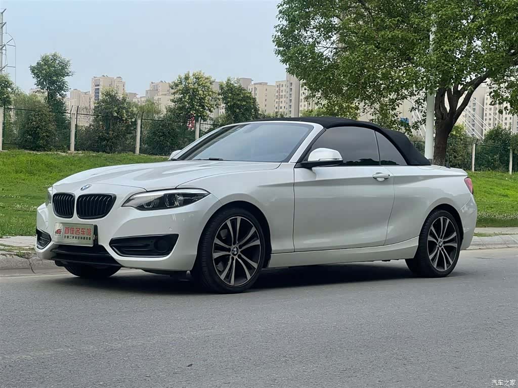 BMW 2 Series, 2019 1