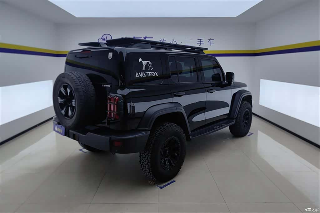 Tank 300, 2023 3