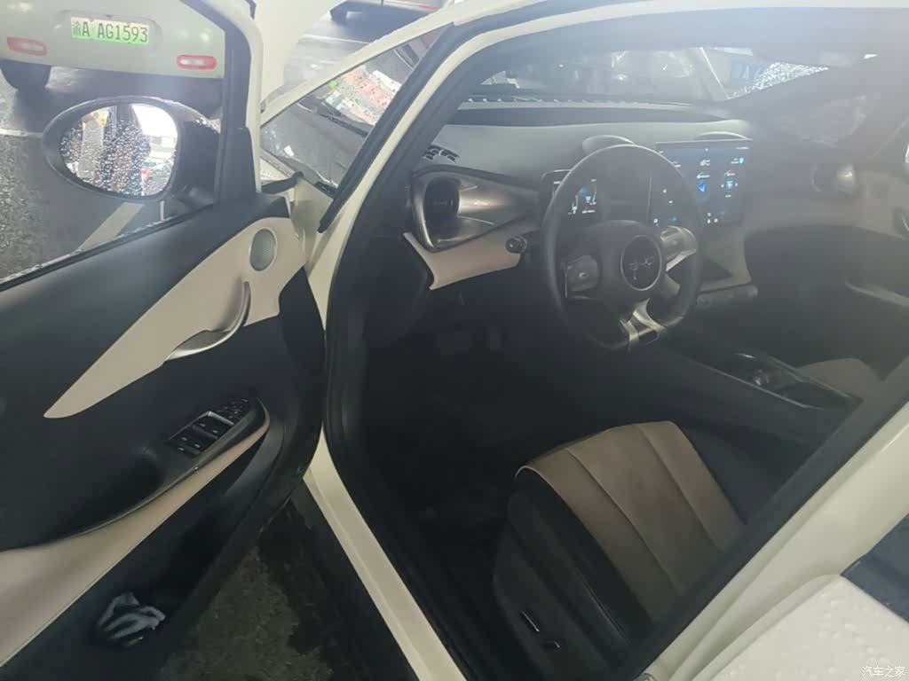 BYD Dolphin, 2024 12