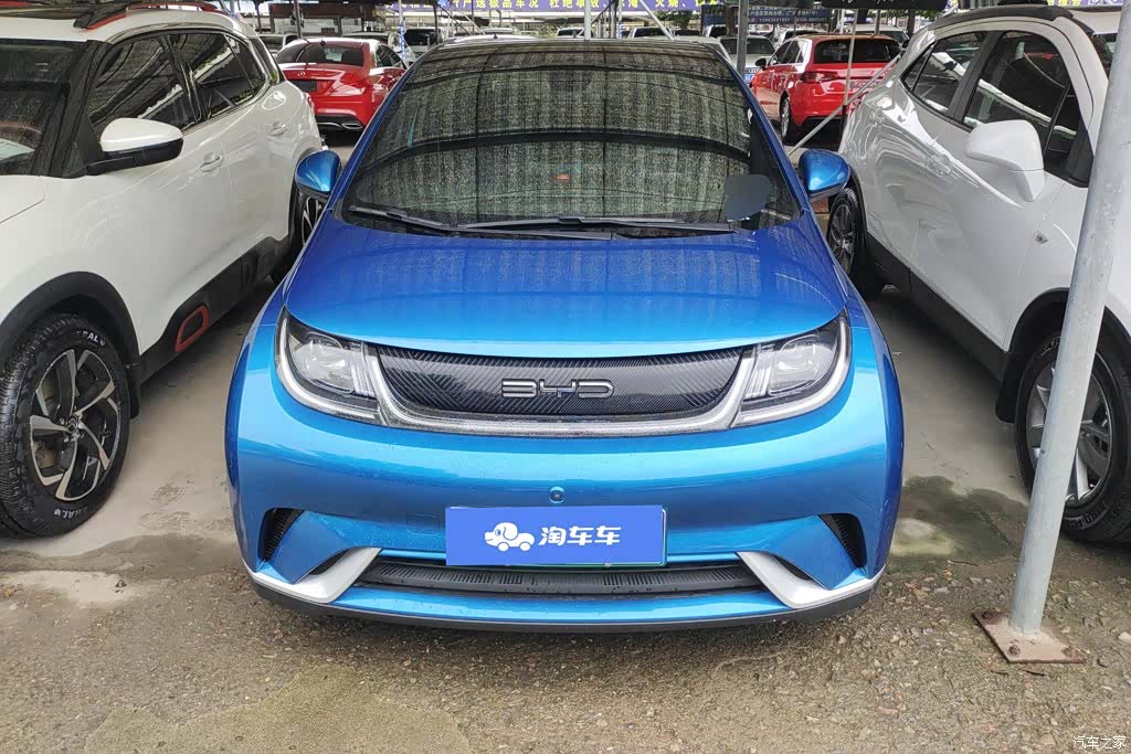 BYD Dolphin, 2022 2