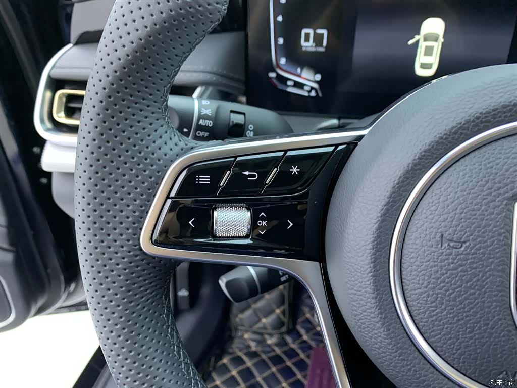 Hongqi H5, 2024 20