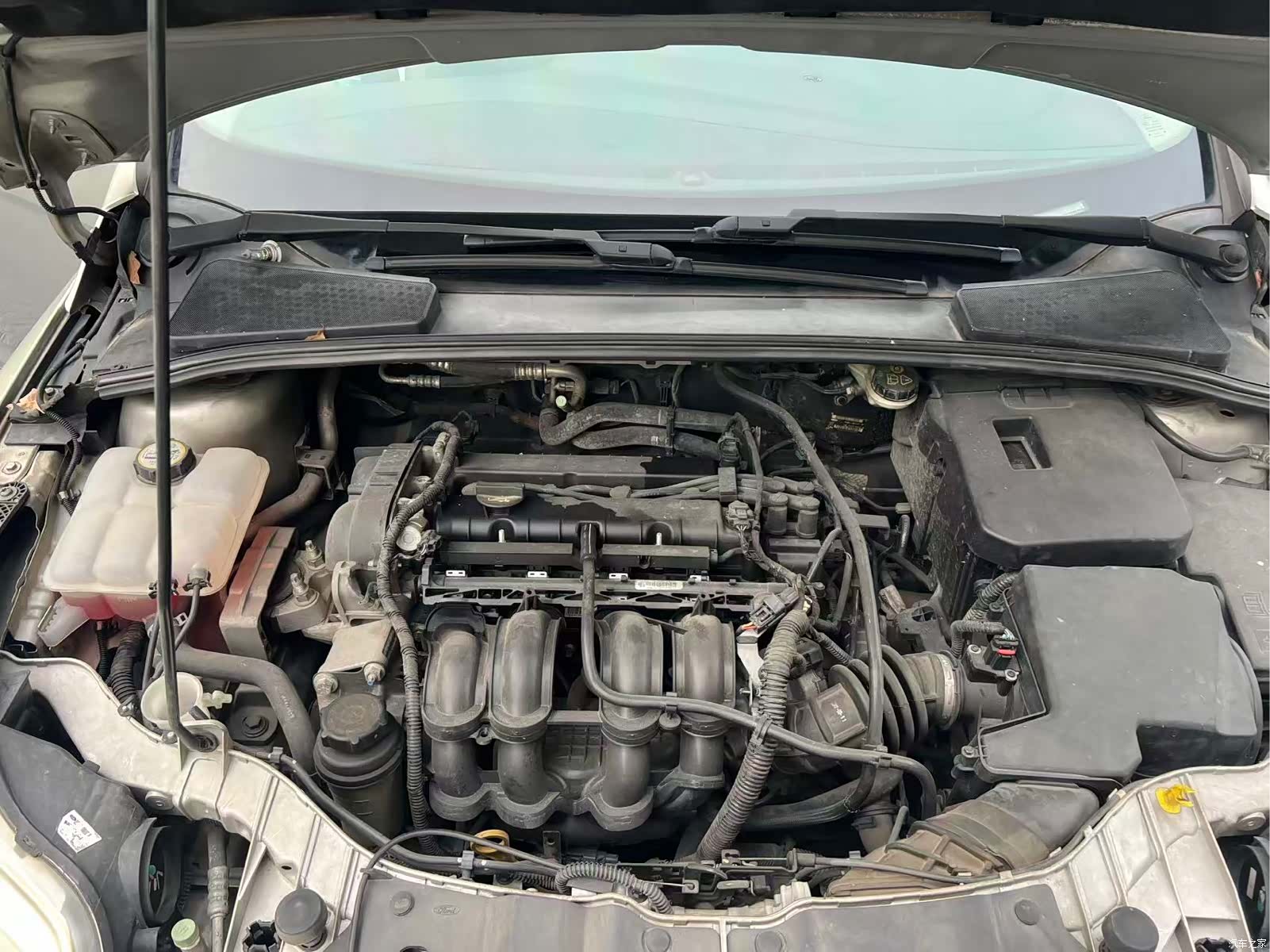 Ford Focus, 2013 14