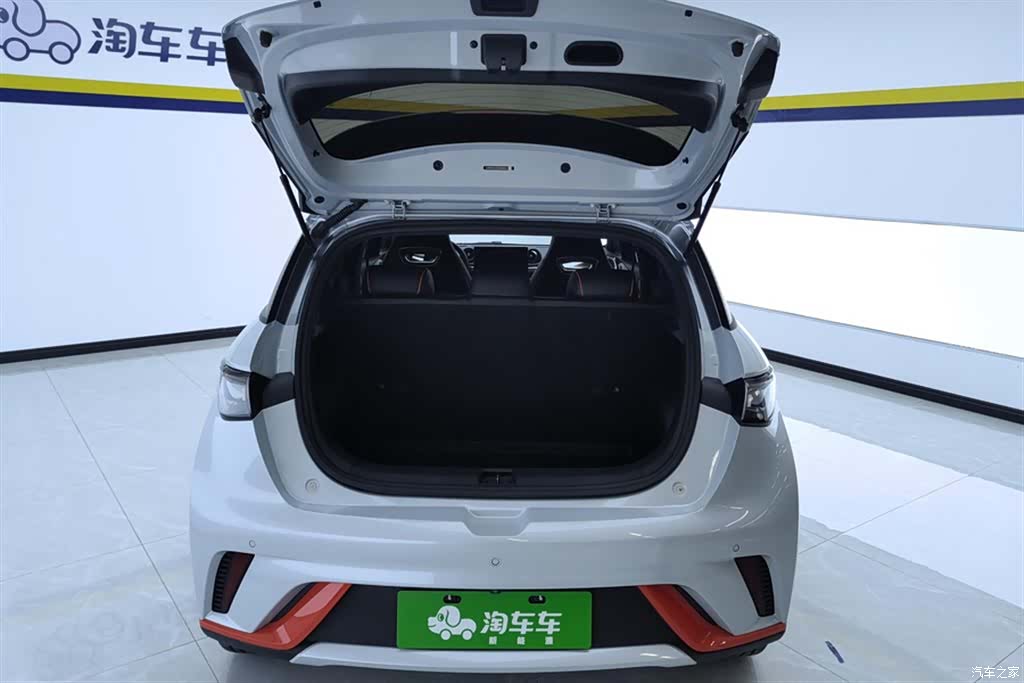 BYD Dolphin, 2023 4
