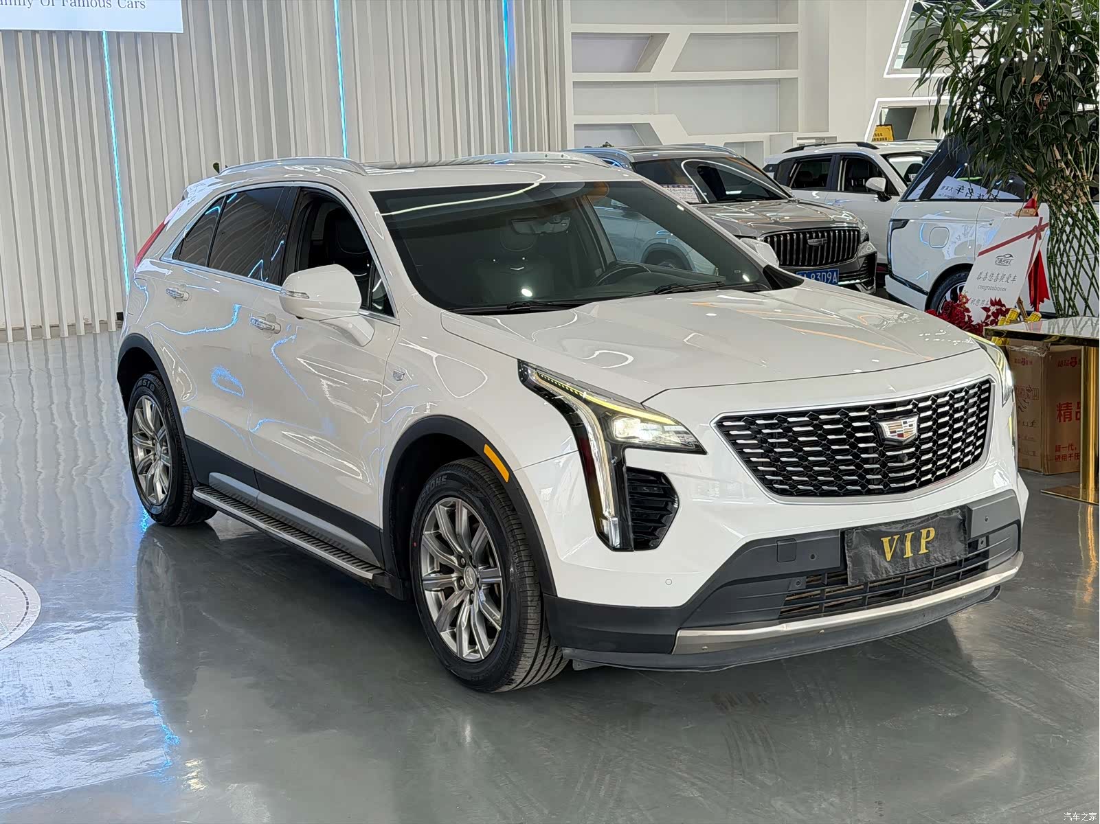 Cadillac XT4, 2019 3
