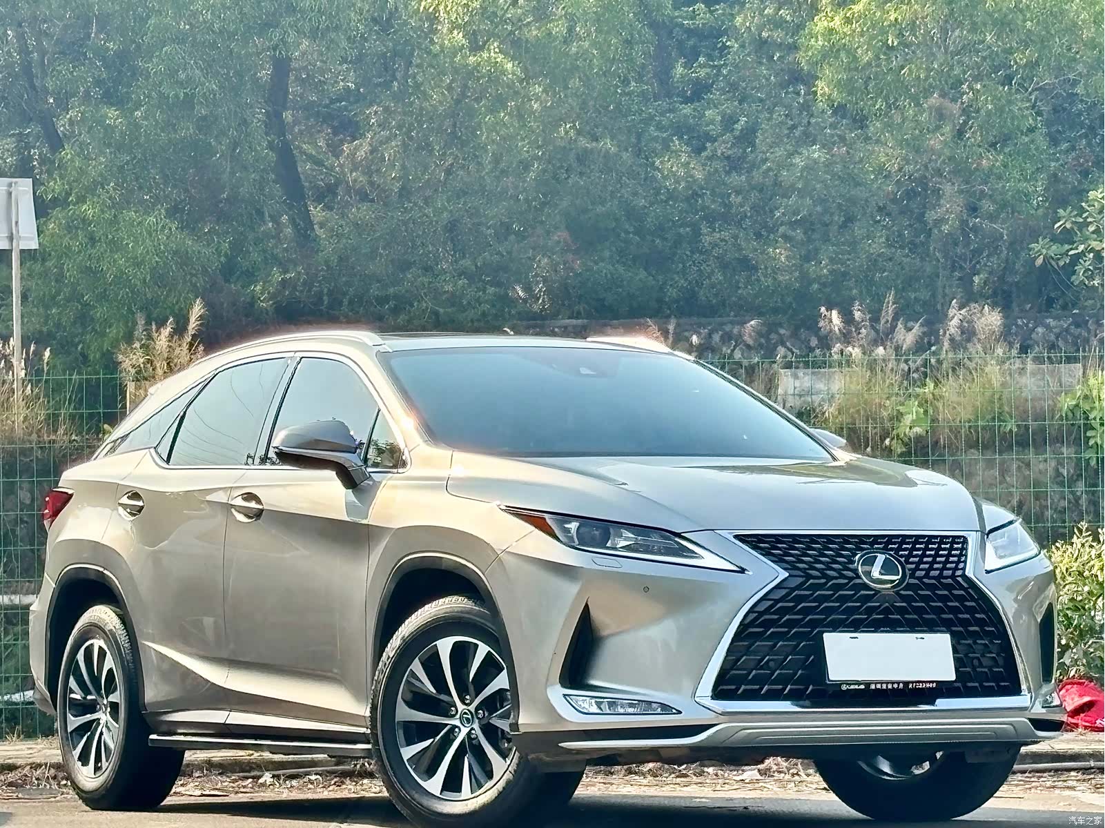 Lexus RX, 2022 3