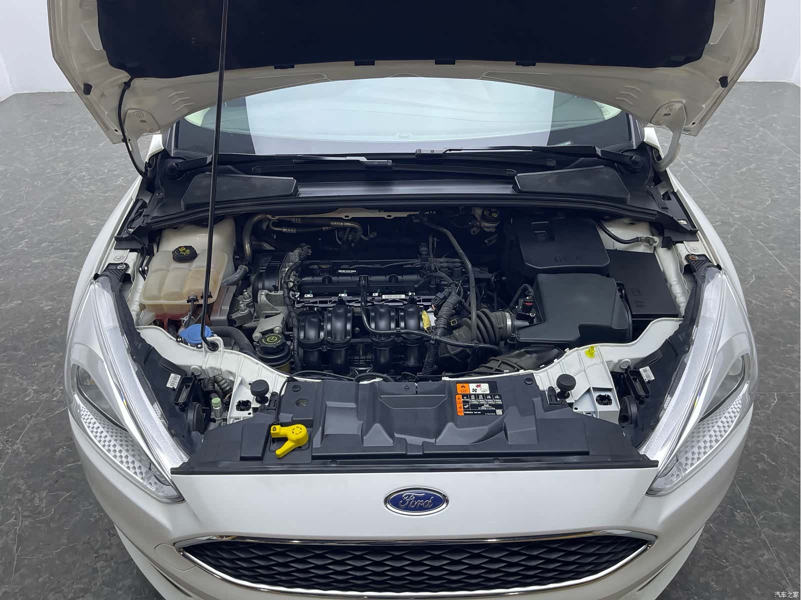 Ford Focus, 2018 19