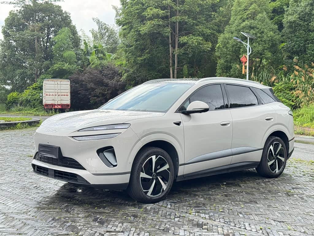 BYD 06