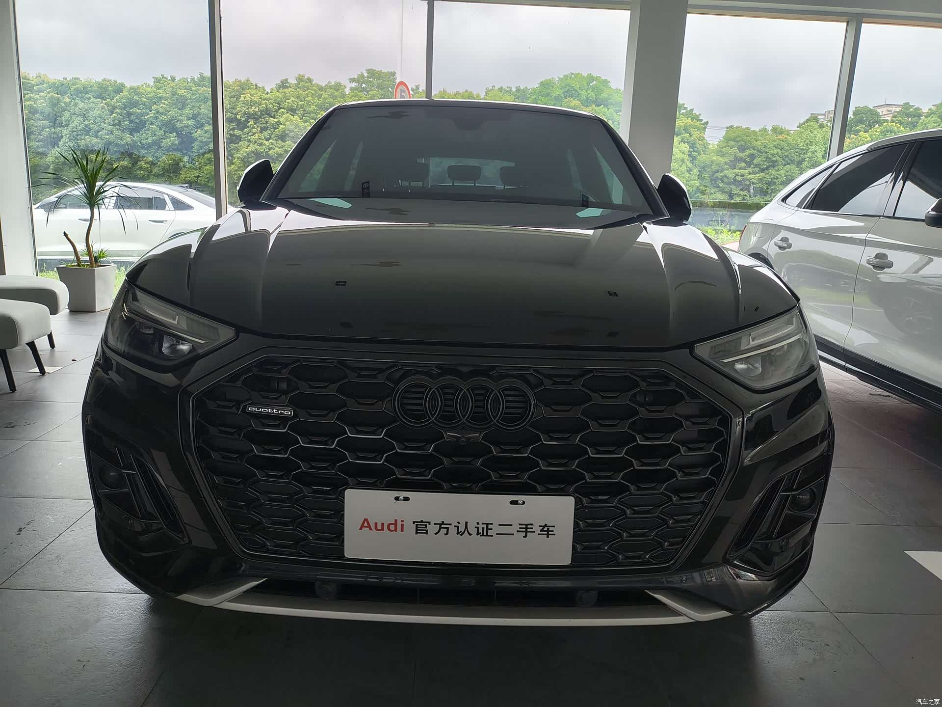 Audi Q5L, 2023 1