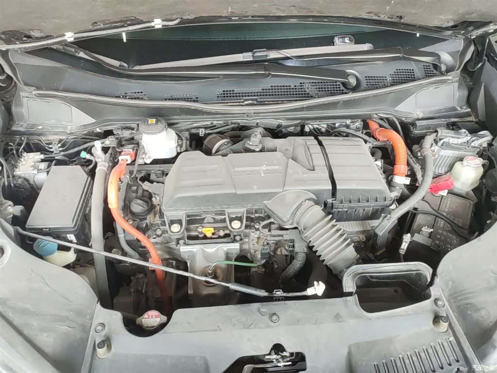 Honda Elysion, 2024 20