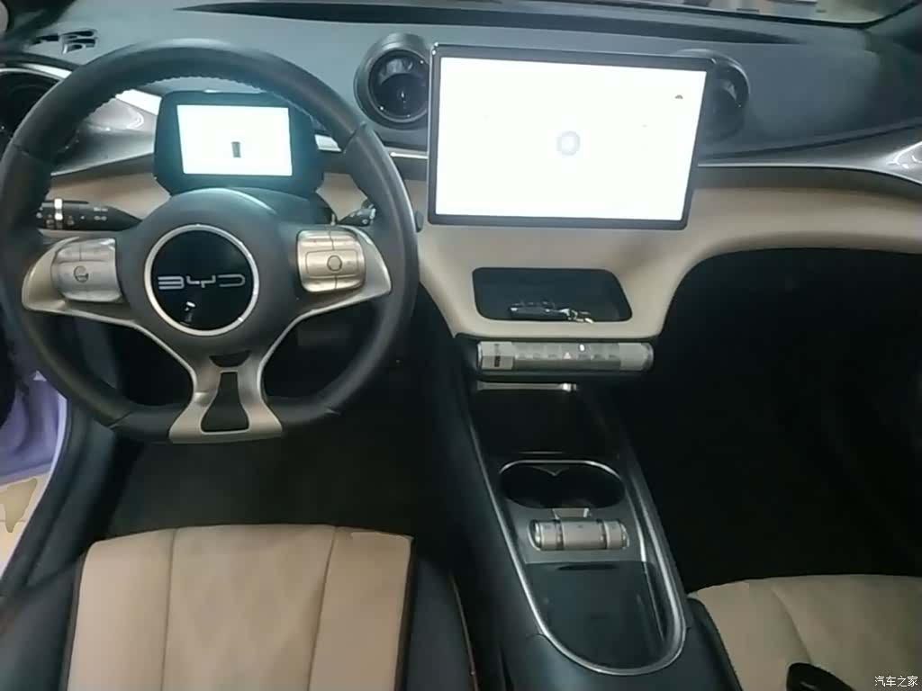 BYD Dolphin, 2023 10