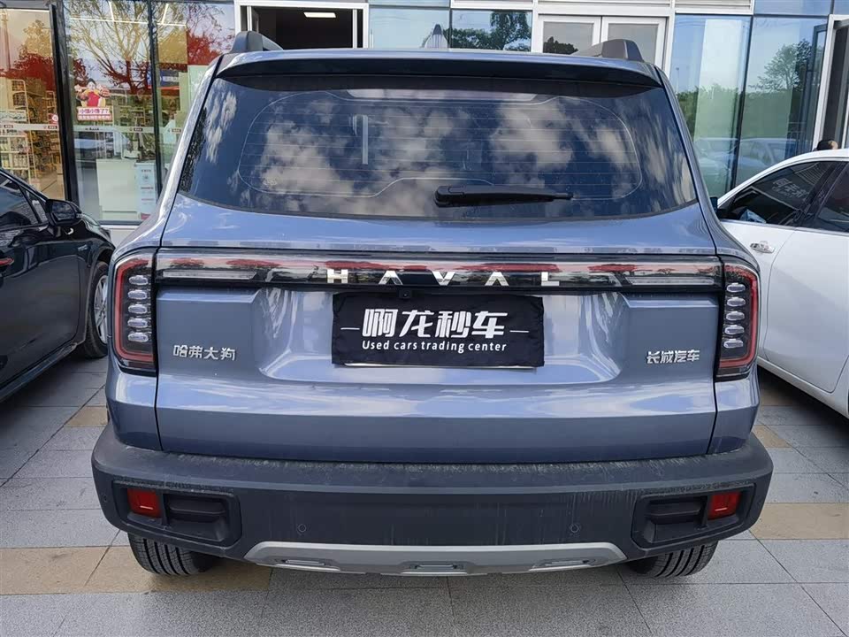 Haval Big dog