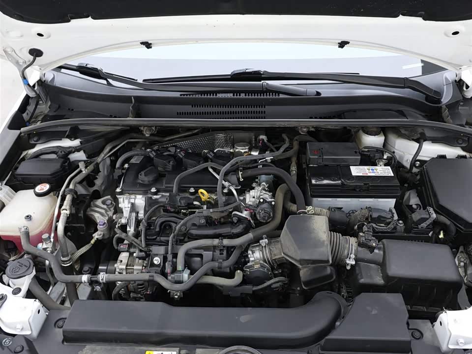 Toyota Lei Ling