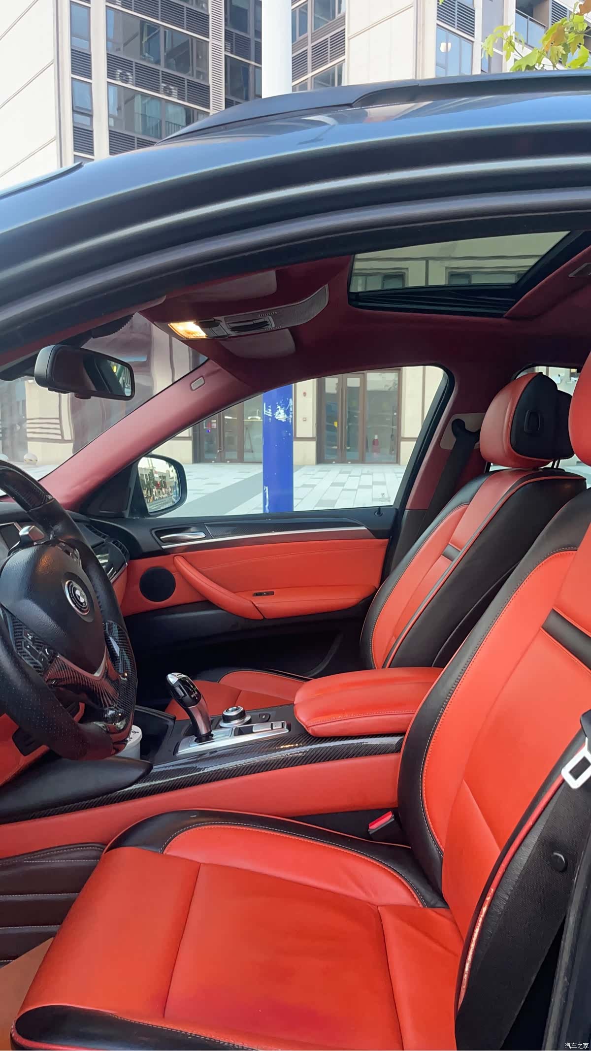 BMW X6, 2010 10