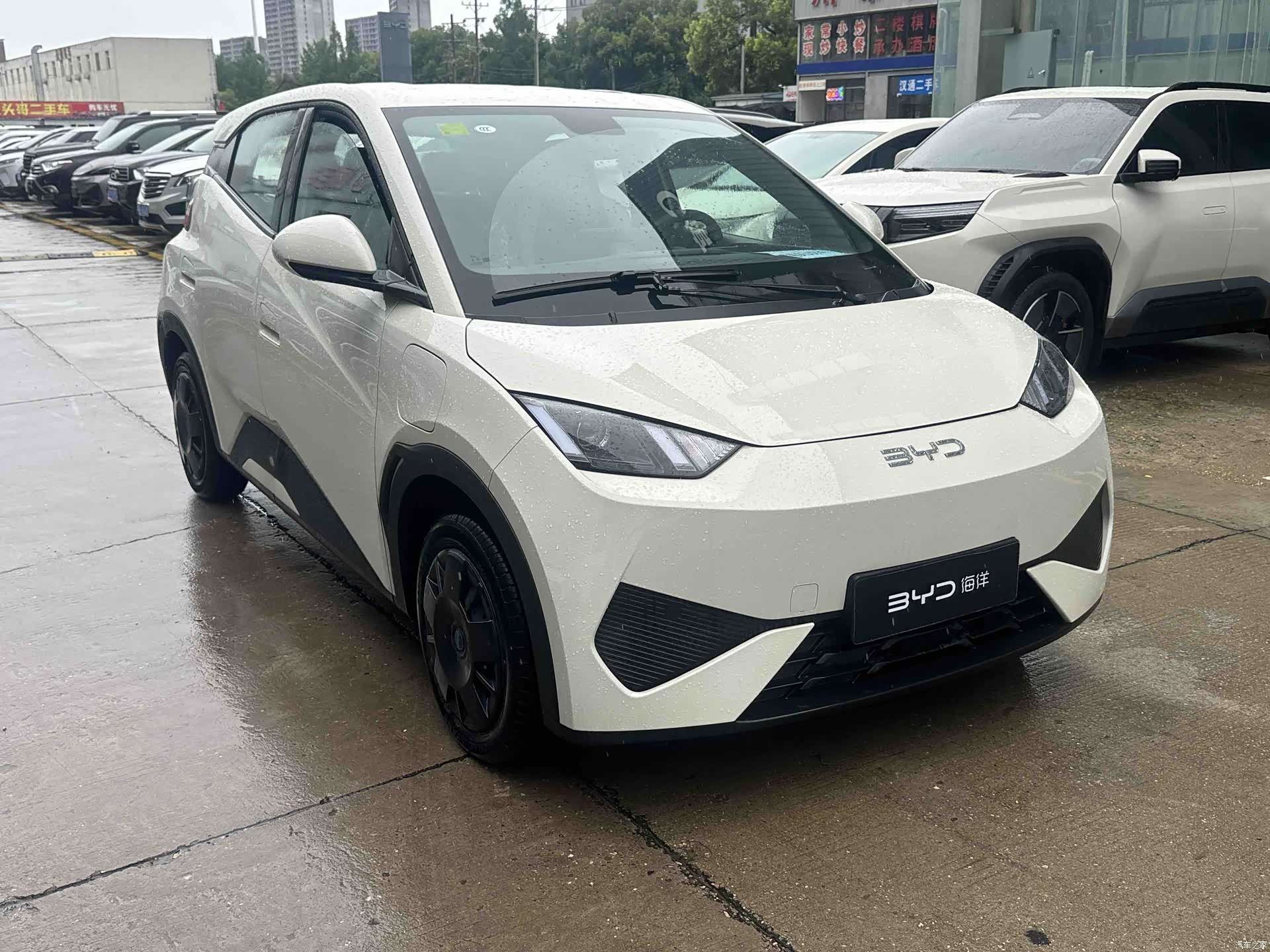 BYD Seagull, 2026 2