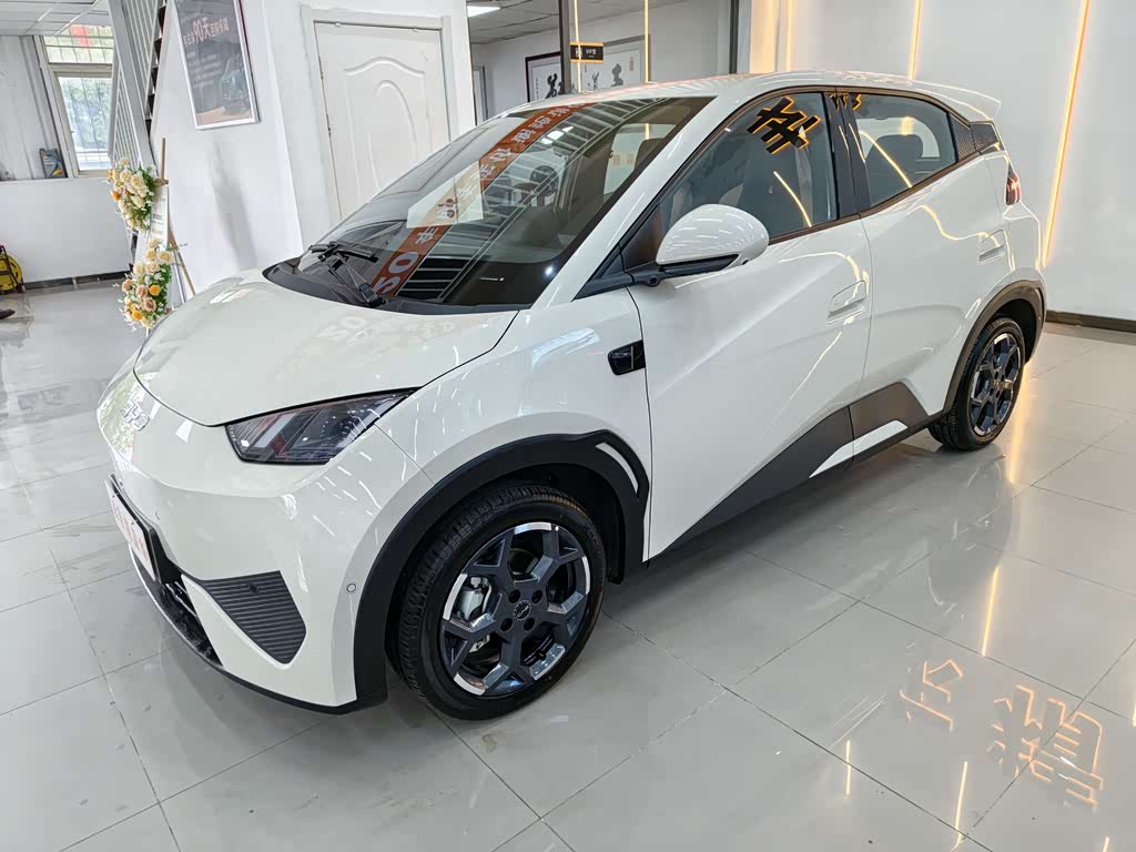BYD Seagull