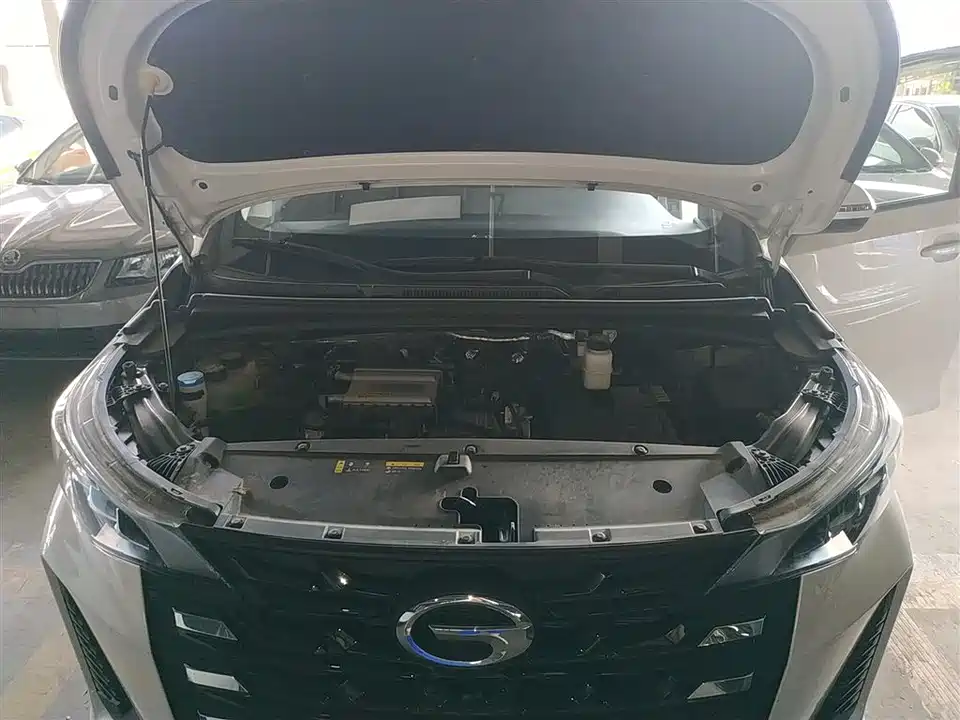 Trumpchi Trumpchi M6