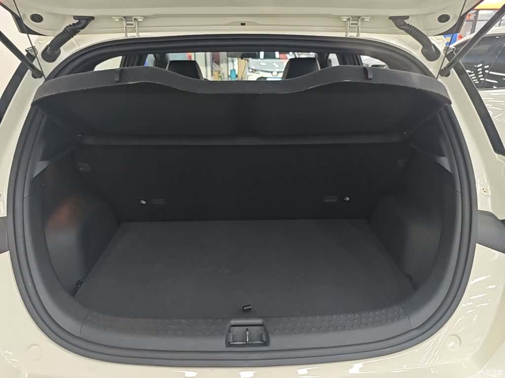 BYD Dolphin, 2024 19