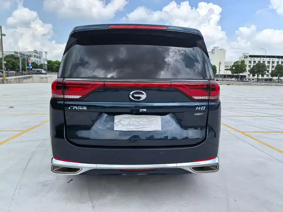Trumpchi Trumpchi M8